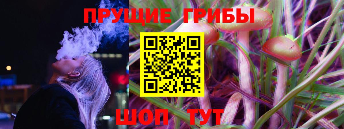 Аксай  Галлюциногенные грибы мицелий  Вход с VPN 